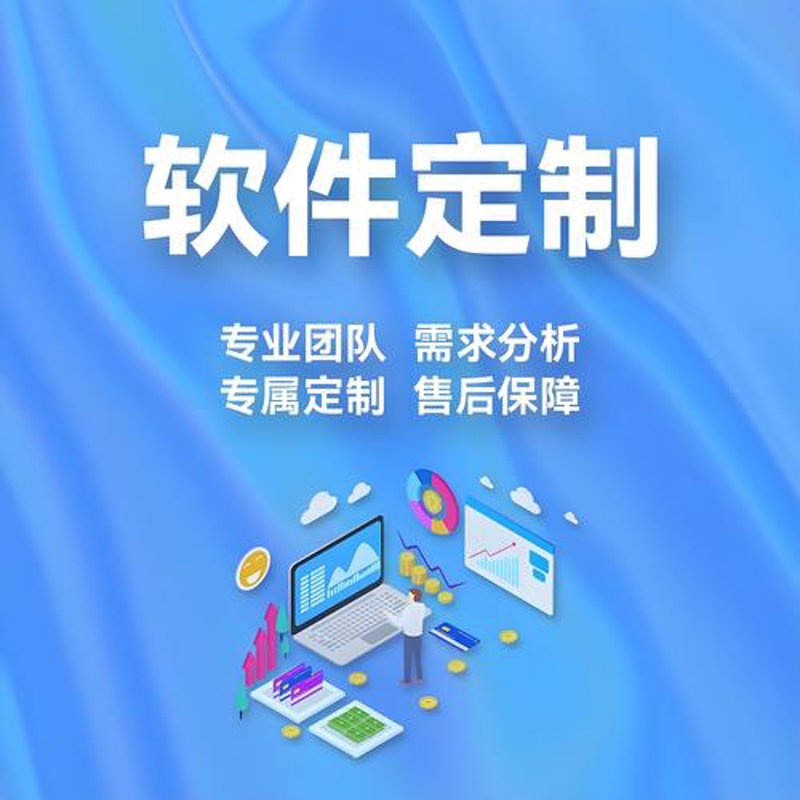 软件定制开发:企业数字化飞跃的新引擎